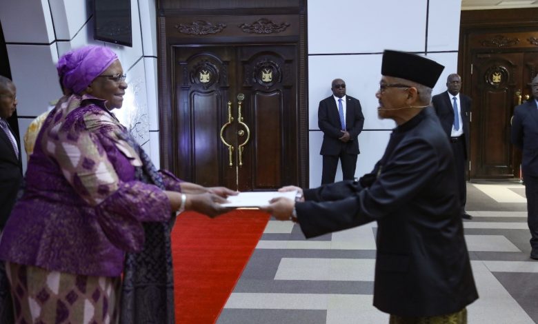 Dubes RI Serahkan Surat Kepercayaan, Tegaskan Komitmen Perkuat Kerja Sama dengan Namibia