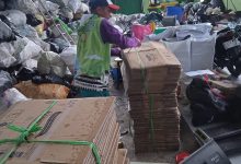 Mahasiswa PWK Unisba Praktik Lapangan di PPI Jayanti, Rancang Sinergi Pelabuhan Perikanan dan Wisata Pesisir